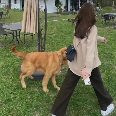 超人集中营